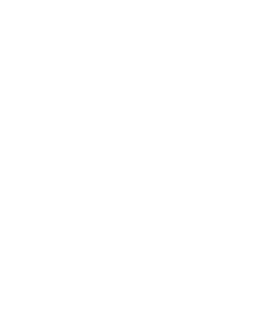 国家电网LOGO